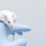 (November 11, 2020) WEBINAR: Introduction to Measurement of Tissue Oxygen in Rats Via Telemetry