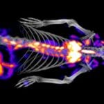 WEBINAR: Introducing the SuperArgus PET/CT Systems; a Best In Class Imaging System with State of the Art Technology for Pre-Clinical Imaging in Small and Medium Sized Animals
