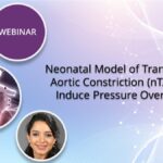 (February 23, 2021) WEBINAR: Neonatal model of transverse aortic constriction (nTAC) to induce pressure overload