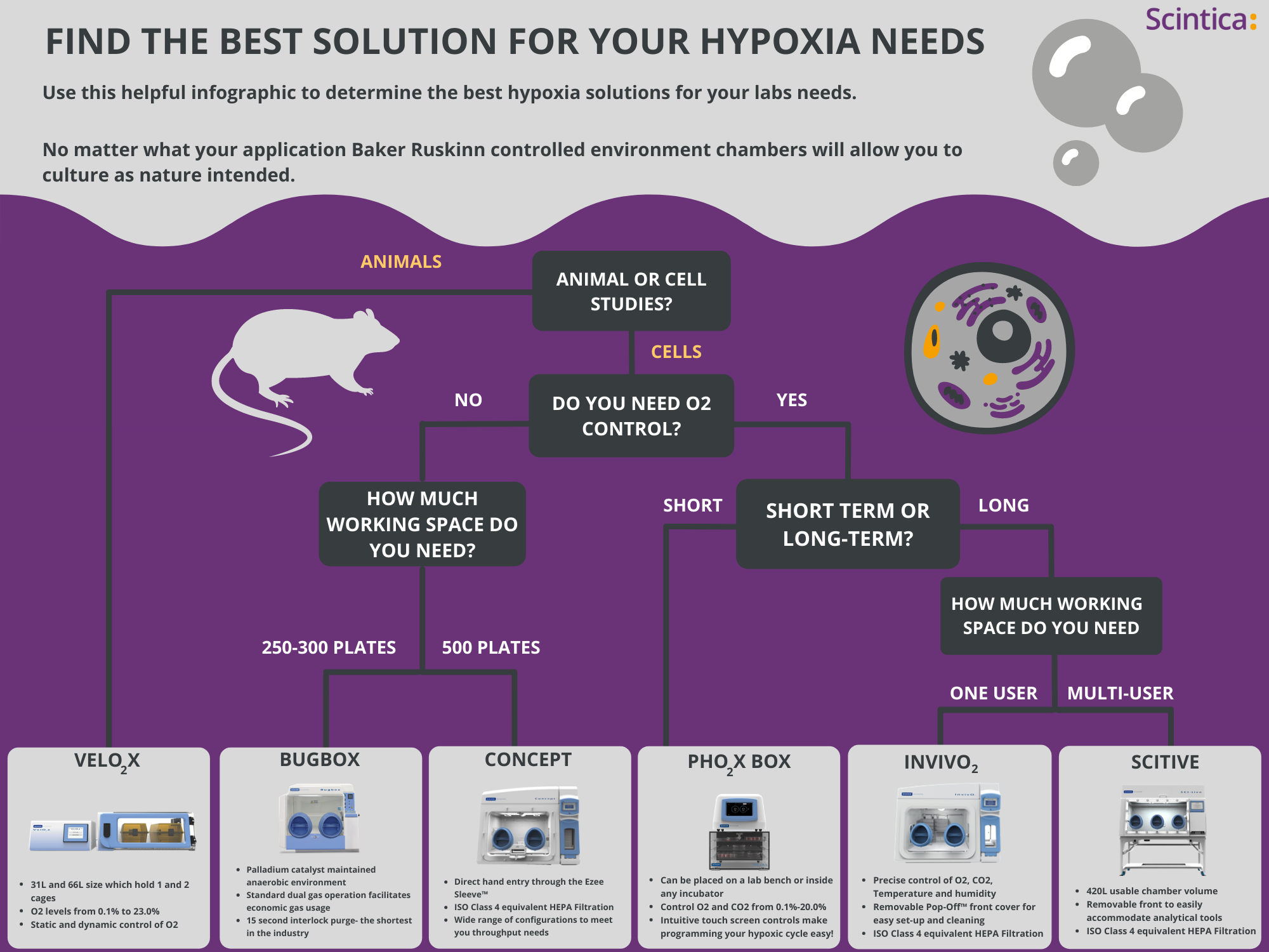 Hypoxia Chambers Scintica Instrumentation