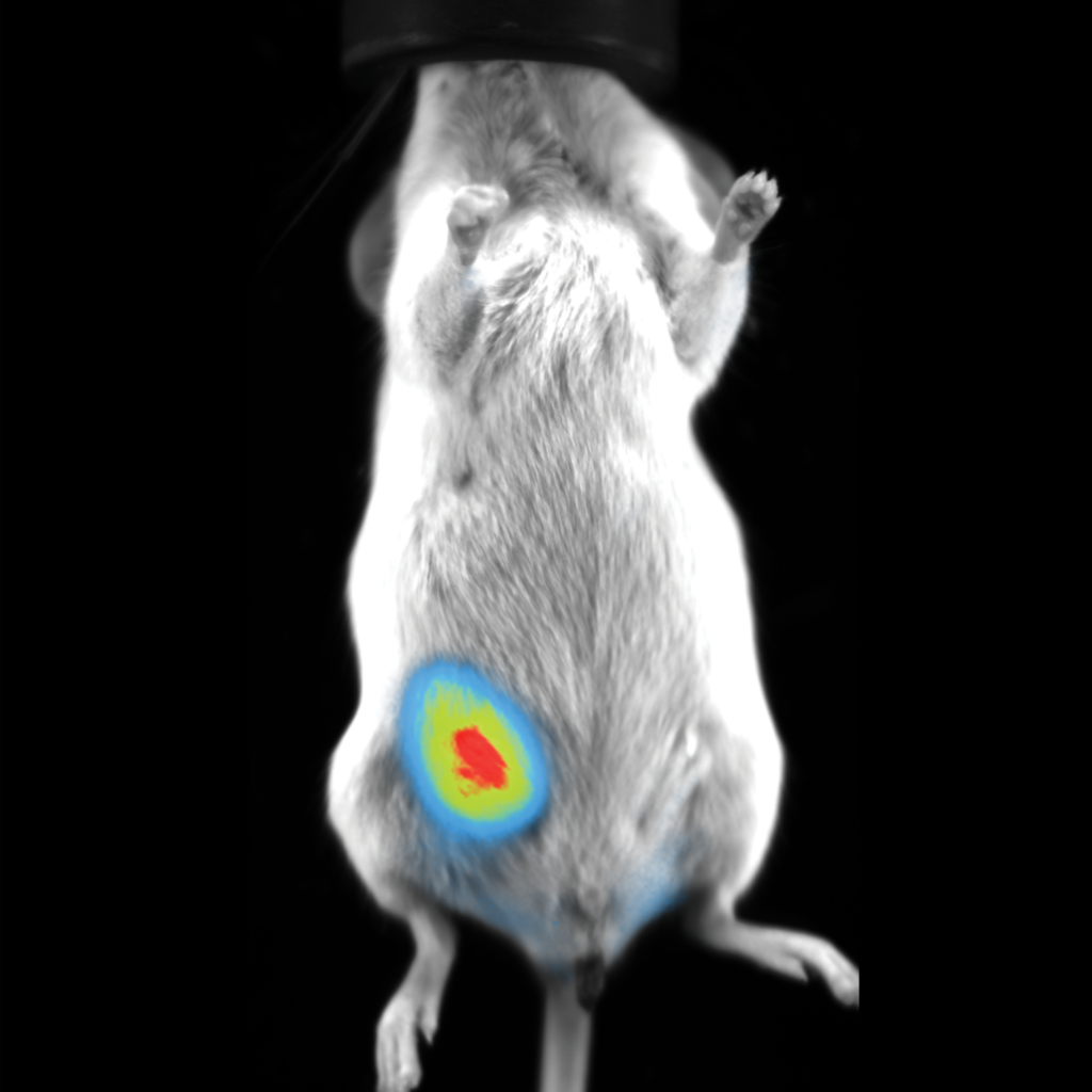 Science Blog Scintica science-blog-scintica